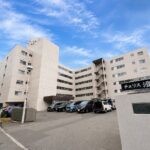 チュリス澄川の写真22